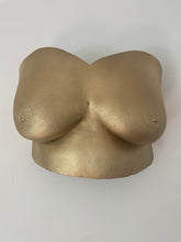 Load image into Gallery viewer, Custom Artwork for Clients