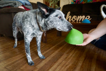 Load image into Gallery viewer, Bust Boob CandleTit