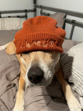 Load image into Gallery viewer, Dog wearing boob beanie hat
